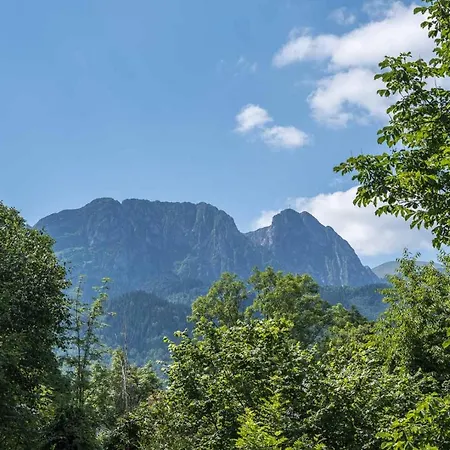 Apartament Czarny Potok Lux Zakopane